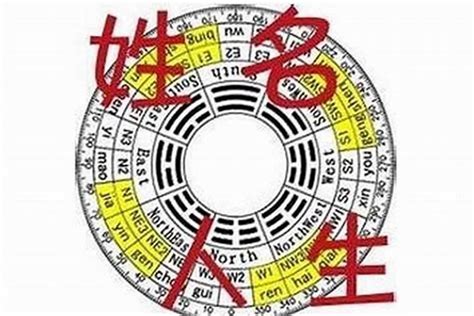 九运最旺公司名|公司起名顺利发财的好名字 九运最旺公司名字——天玄网